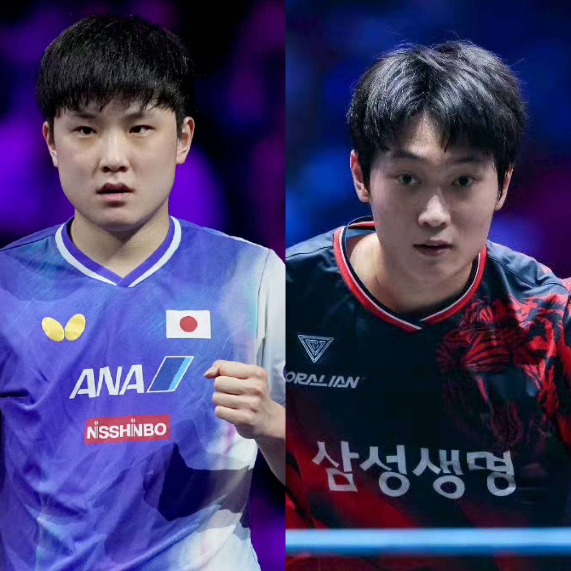 中国队逆转葡萄牙队,张本智和高光表现 中国队逆转葡萄牙队,张本智和高光表现