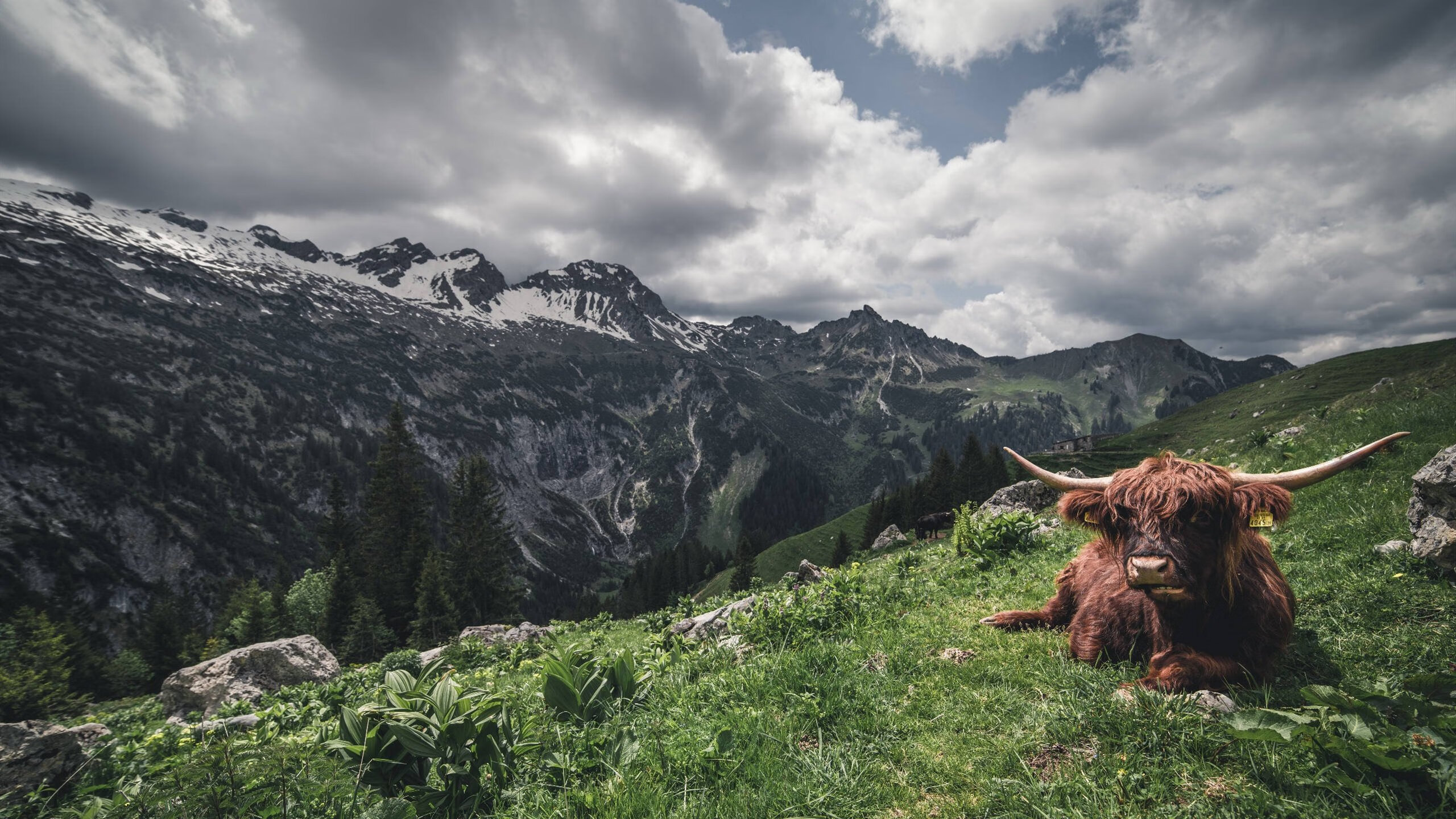 逆转夜,星光独为一人璀璨