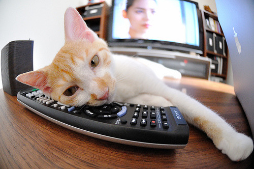 影子超越本体，红牛二队技术逆袭，诺里斯创下赛季最高光表现