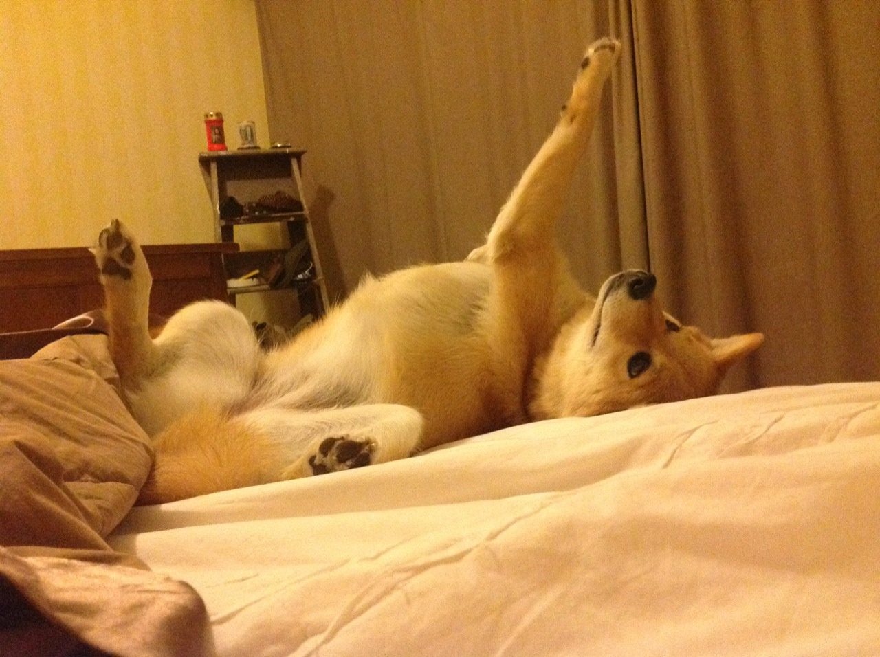 断层与脊梁，当韩国手术刀切开法国阵线，桃田贤斗以孤峰撑起团队天空