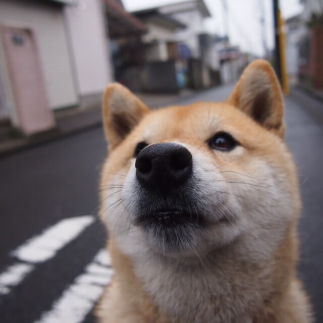跨维度的绿茵对话，当南非国家队遭遇曼城，奥斯梅恩如何统治全场？