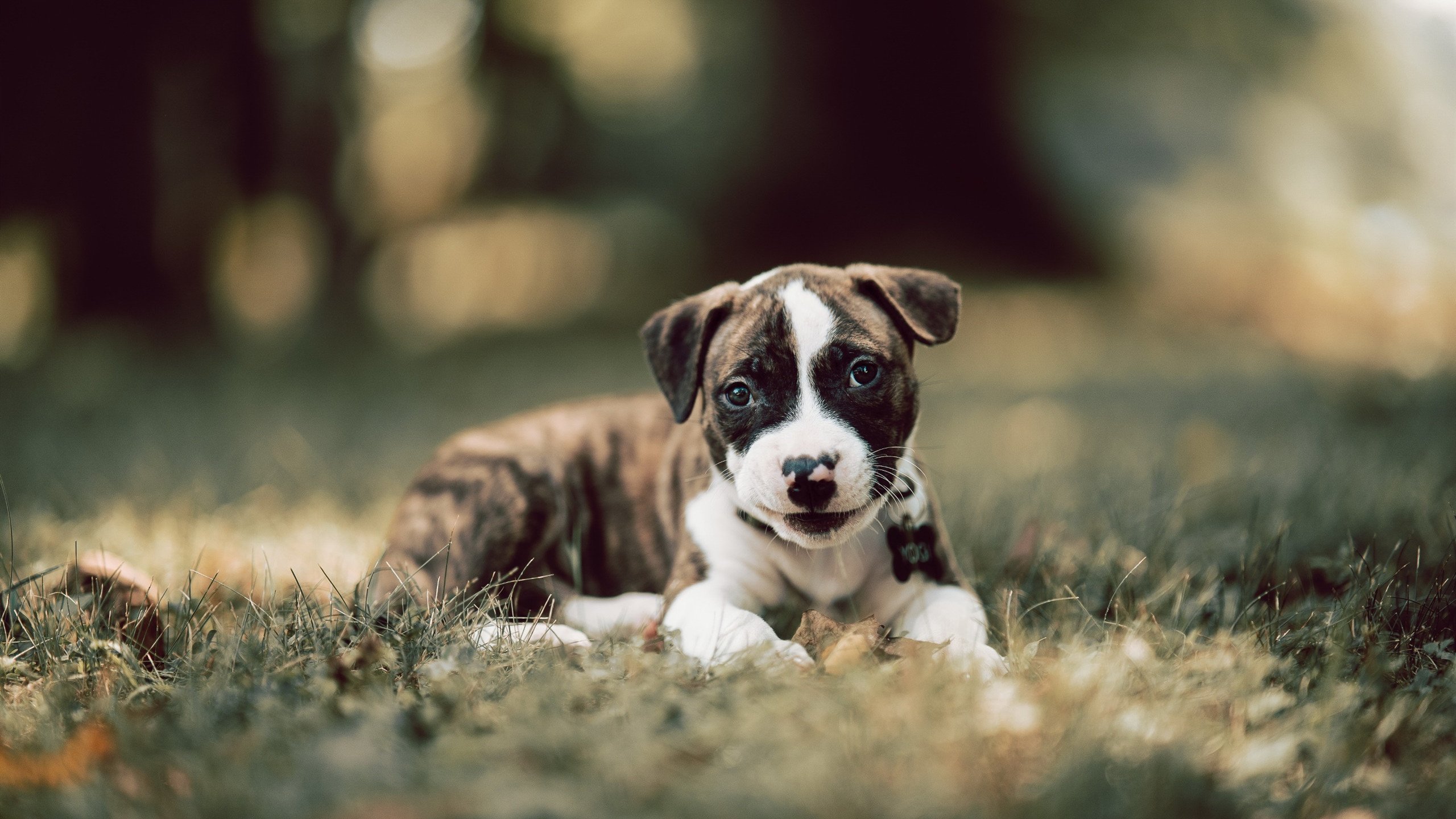 英超争冠的战术教科书,曼城如何上演克罗地亚式全面压制