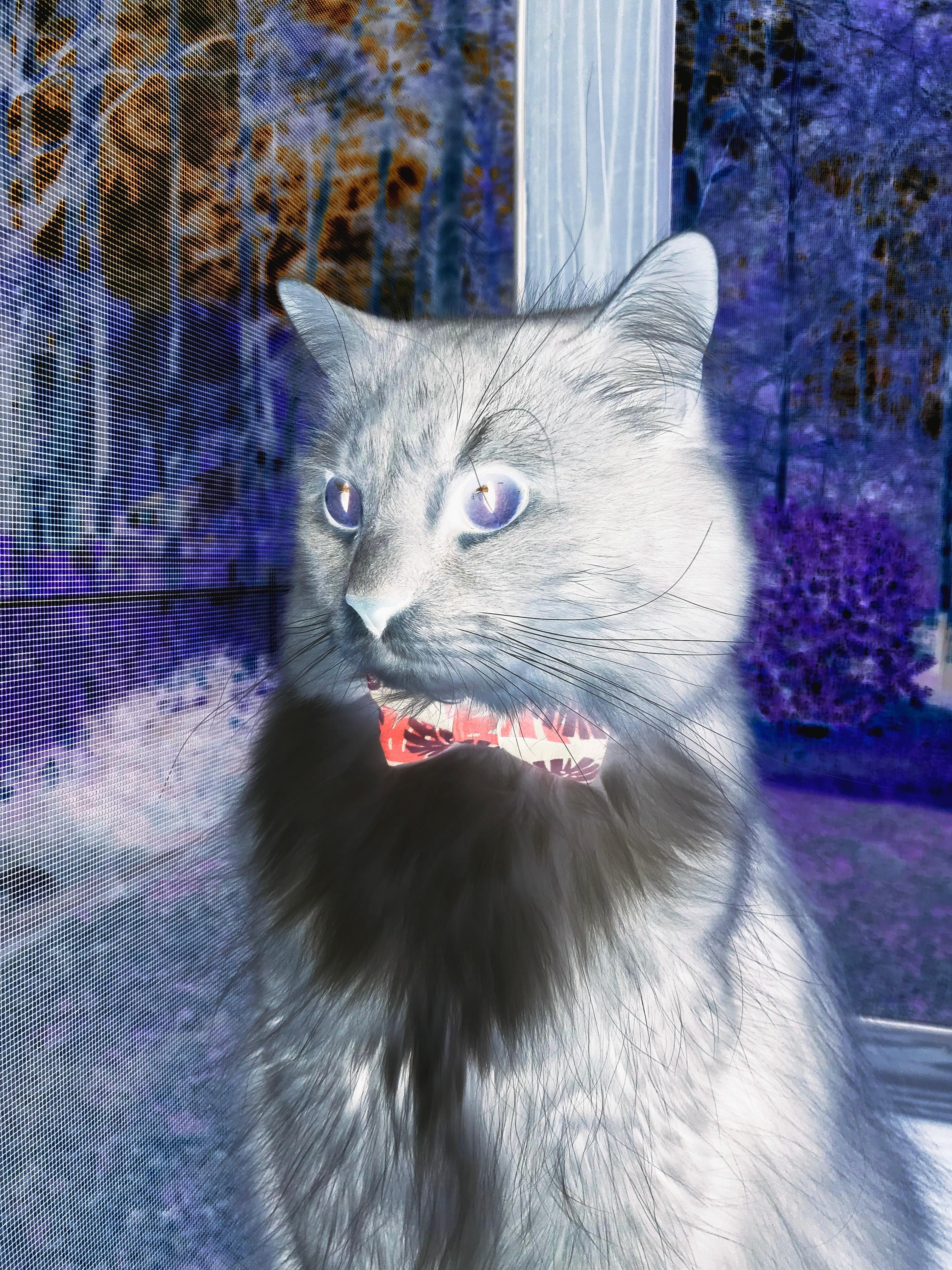 跨越万里的强压,锡安末节统治,骑士险胜浙江显关键先生本色