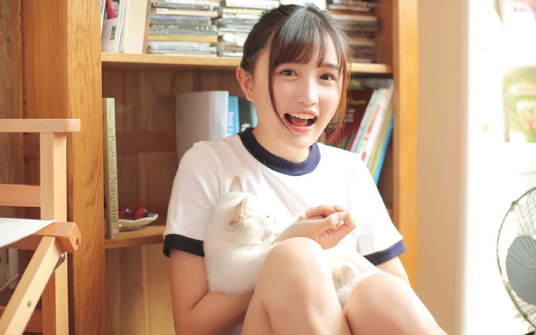 极速与强势的交响,双线开门红背后的体育唯一性定律