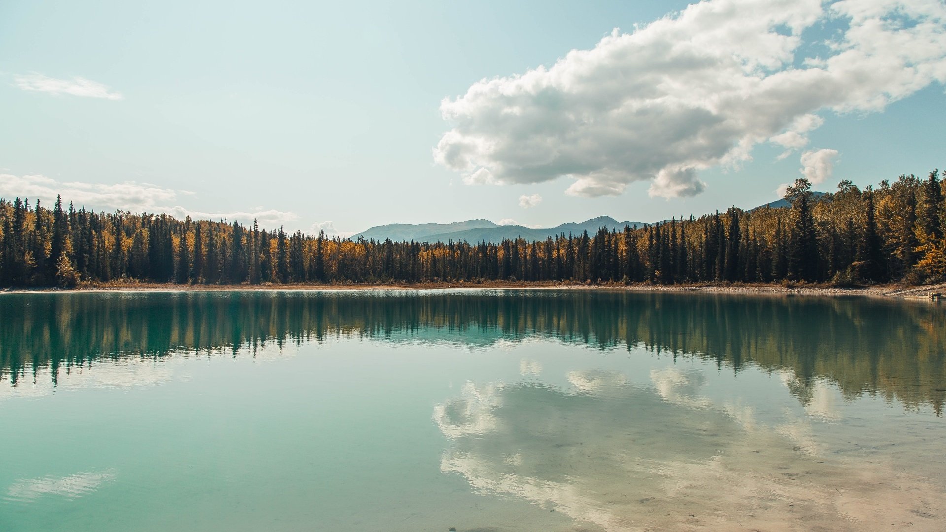 破盾者的诗篇，猛龙如何从戈贝尔的统治领域突围