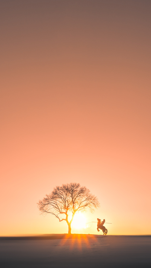 鏖战至终章,浙江队争冠战胜爵士,锁定年度焦点之战荣耀