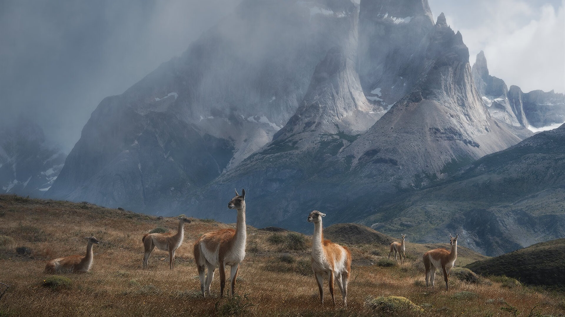时光褶皱里的唯一性—库尔图瓦