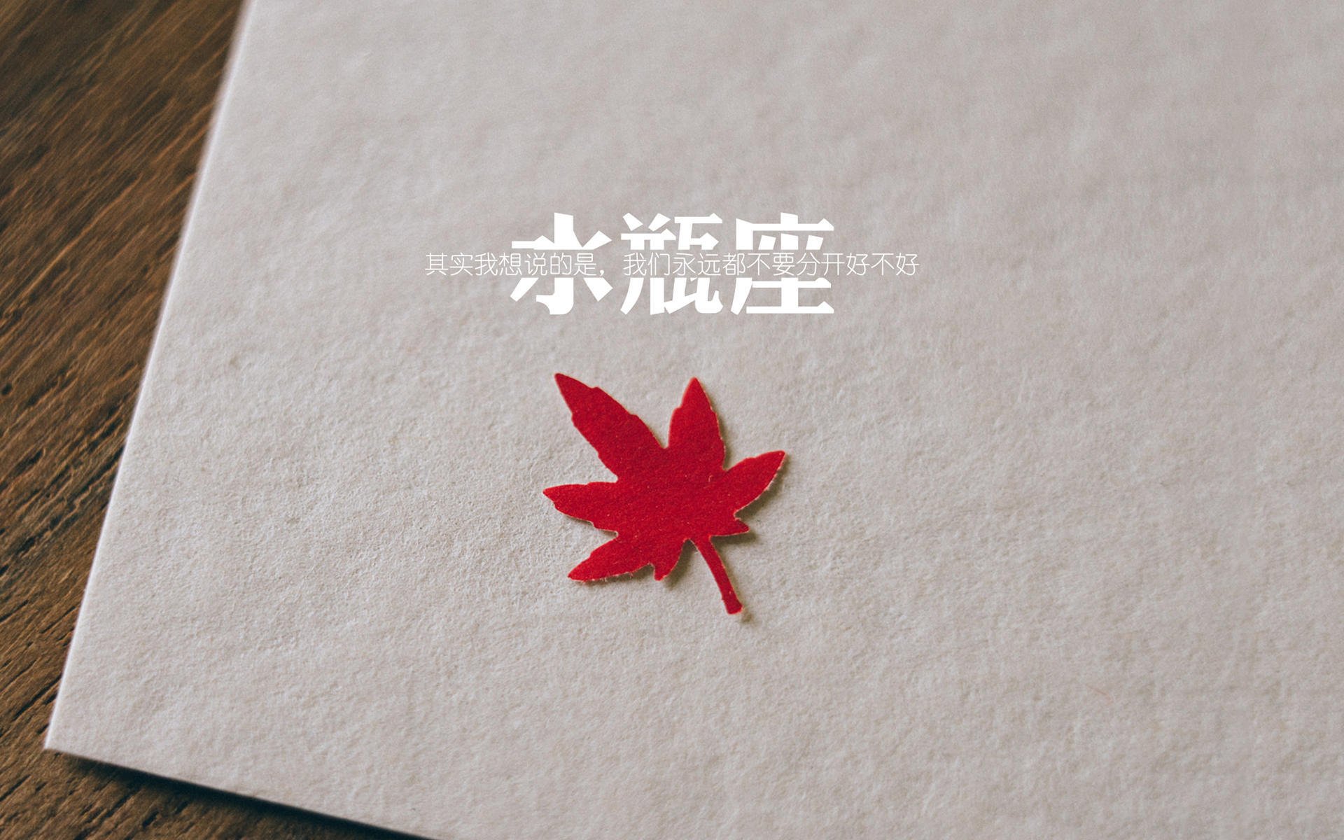 双线激战，魔术班凯罗助辽宁压哨燃动沈城