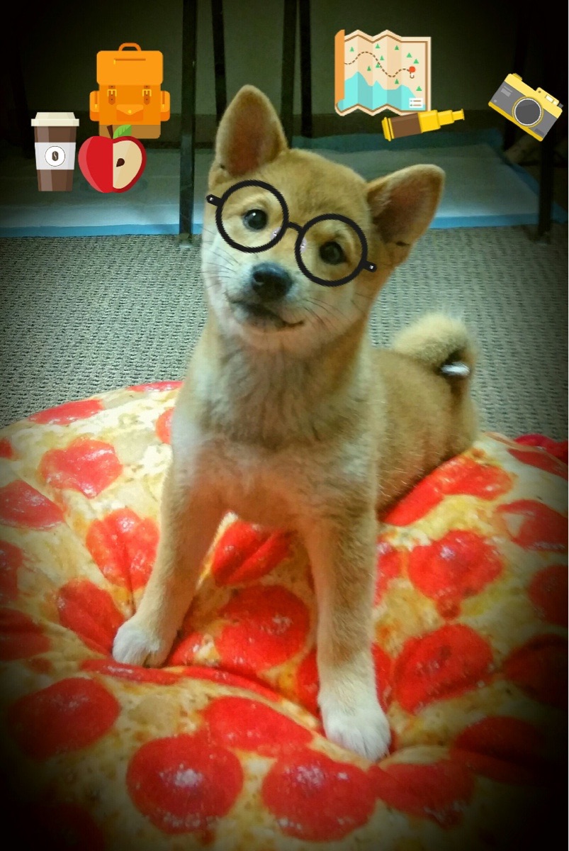 美与力的二重奏,迪马利亚满分闪耀,摩洛哥苦战折射足球多元本质