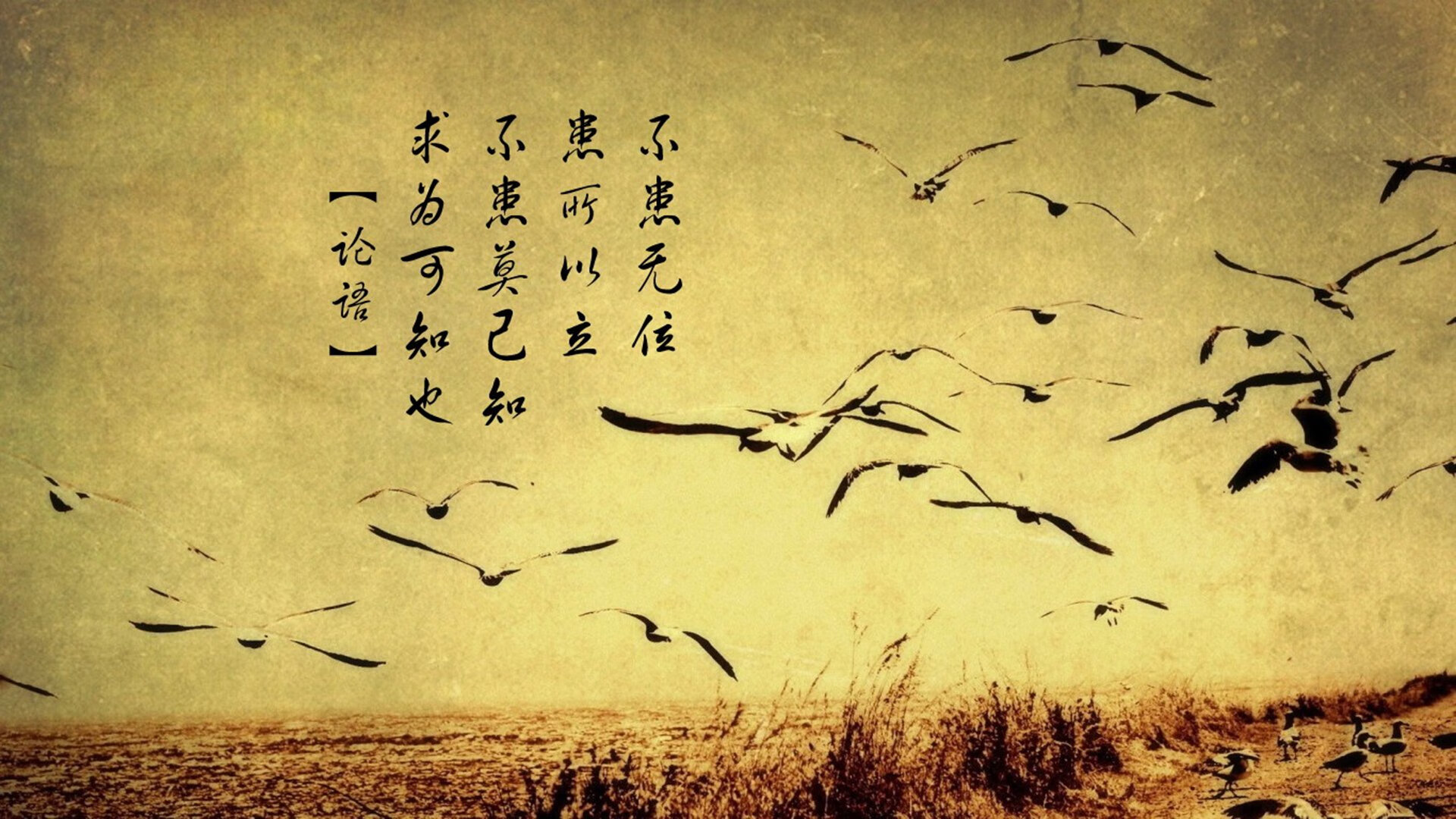索菲亚之夜,当东欧铁骑踏碎桑巴荣光,穆西亚拉用天才独舞书写2026世界杯唯一剧本