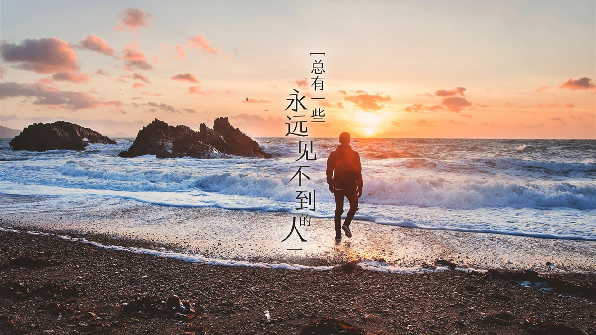 激战2026,当厄瓜多尔碾压葡萄牙,托纳利独舞逆转命运—D组生死战背后的唯一性传奇