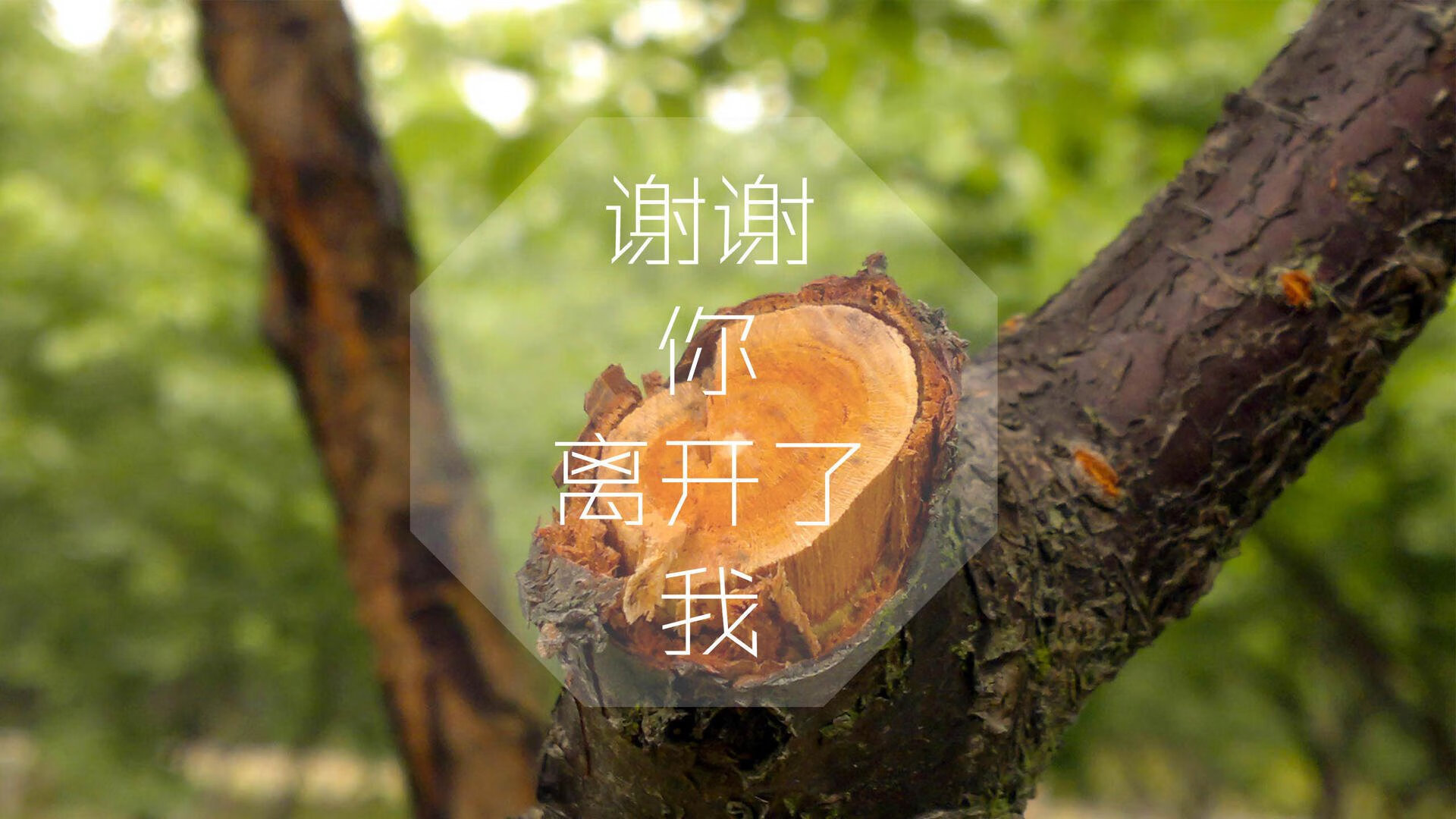 冷门之夜,2026世界杯F组泰国力克冰岛,奥斯梅恩闪耀全场成唯一焦点