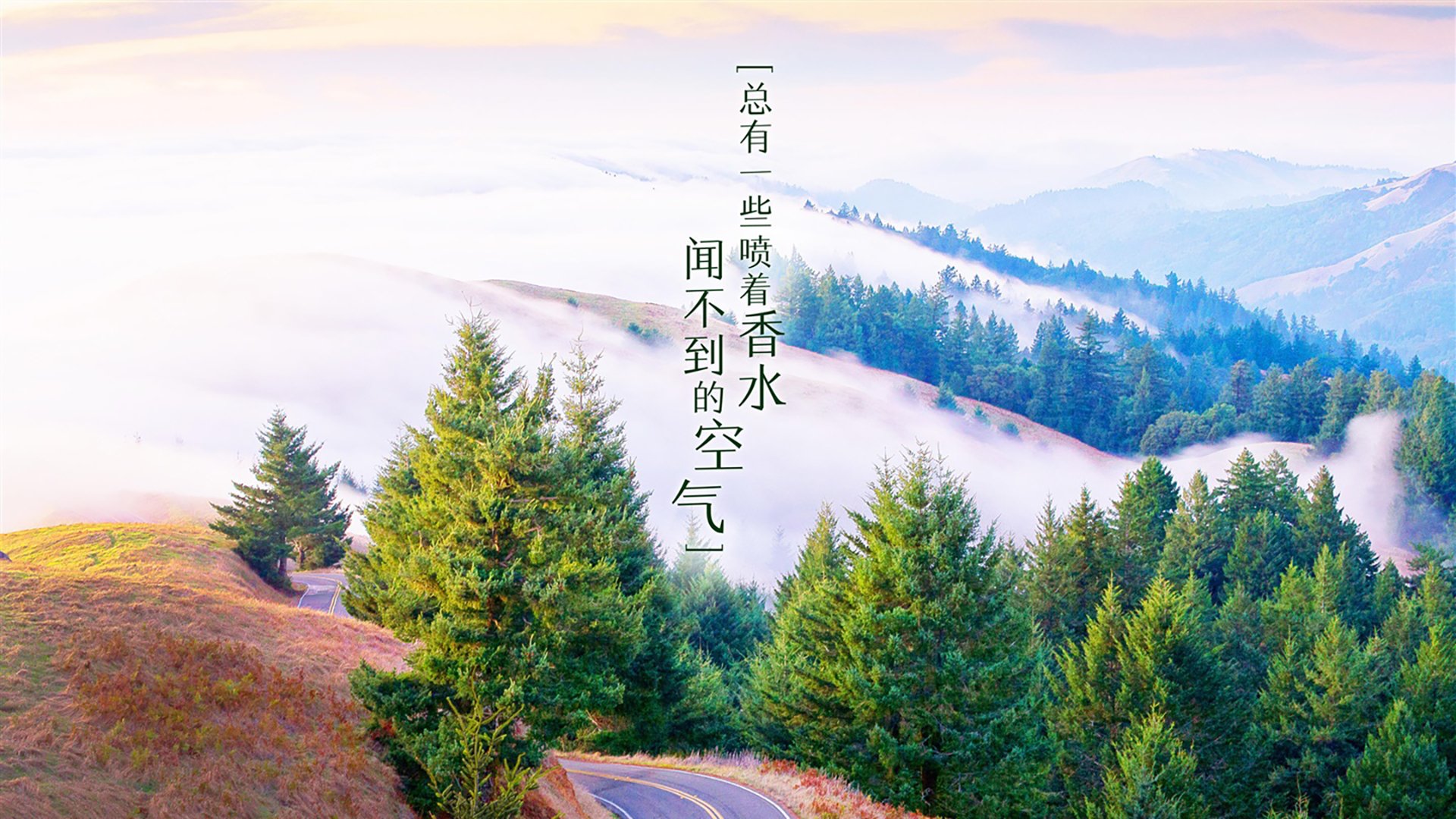 2026世界杯B组焦点战,厄瓜多尔高原风暴席卷波兰,吉鲁独造三球上演经典战役